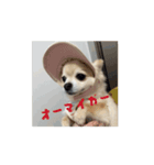 アエラスタンプAera（個別スタンプ：3）