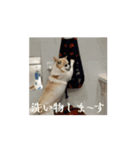アエラスタンプAera（個別スタンプ：7）