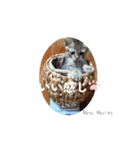 Baby Maples 2025（個別スタンプ：14）