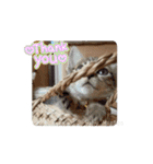 Baby Maples 2025（個別スタンプ：15）