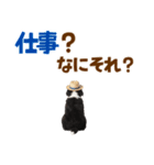 バーニーズの子犬♡毎日スタンプ（個別スタンプ：5）