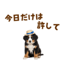 バーニーズの子犬♡毎日スタンプ（個別スタンプ：20）