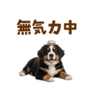 バーニーズの子犬♡毎日スタンプ（個別スタンプ：32）