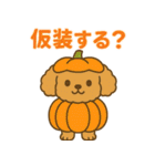 ハロウィン・誕生日 トイプードル【秋】犬（個別スタンプ：12）