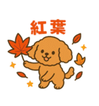 ハロウィン・誕生日 トイプードル【秋】犬（個別スタンプ：16）