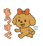 ハロウィン・誕生日 トイプードル【秋】犬（個別スタンプ：24）
