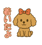 ハロウィン・誕生日 トイプードル【秋】犬（個別スタンプ：31）