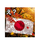 紅葉と日本国旗（個別スタンプ：12）