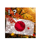 紅葉と日本国旗（個別スタンプ：17）