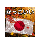 紅葉と日本国旗（個別スタンプ：21）