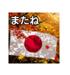 紅葉と日本国旗（個別スタンプ：23）