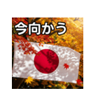 紅葉と日本国旗（個別スタンプ：26）
