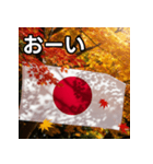 紅葉と日本国旗（個別スタンプ：28）