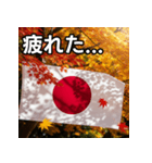 紅葉と日本国旗（個別スタンプ：31）