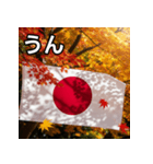 紅葉と日本国旗（個別スタンプ：38）