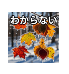 凍結紅葉（個別スタンプ：30）