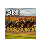 秋競馬（個別スタンプ：9）