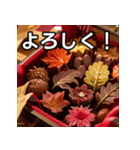 秋の紅葉チョコレート（個別スタンプ：1）