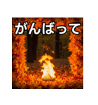 秋の炎性紅葉（個別スタンプ：11）