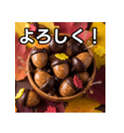 秋のどんぐりキャンディー（個別スタンプ：1）