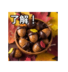 秋のどんぐりキャンディー（個別スタンプ：2）