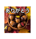 秋のどんぐりキャンディー（個別スタンプ：3）