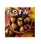 秋のどんぐりキャンディー（個別スタンプ：7）