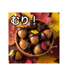 秋のどんぐりキャンディー（個別スタンプ：10）