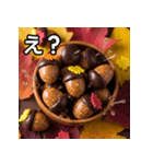 秋のどんぐりキャンディー（個別スタンプ：12）