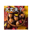 秋のどんぐりキャンディー（個別スタンプ：16）