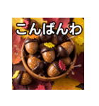 秋のどんぐりキャンディー（個別スタンプ：18）