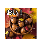 秋のどんぐりキャンディー（個別スタンプ：19）