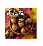 秋のどんぐりキャンディー（個別スタンプ：23）