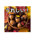 秋のどんぐりキャンディー（個別スタンプ：24）