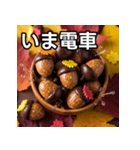 秋のどんぐりキャンディー（個別スタンプ：27）