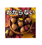 秋のどんぐりキャンディー（個別スタンプ：30）