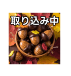 秋のどんぐりキャンディー（個別スタンプ：33）