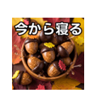 秋のどんぐりキャンディー（個別スタンプ：34）