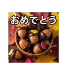 秋のどんぐりキャンディー（個別スタンプ：37）