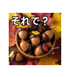 秋のどんぐりキャンディー（個別スタンプ：39）
