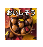 秋のどんぐりキャンディー（個別スタンプ：40）