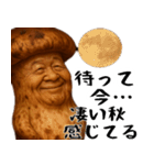 松茸じじぃ(秋以外も便利に使えるスタンプ)（個別スタンプ：3）