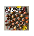 秋の素焼きどんぐり（個別スタンプ：29）