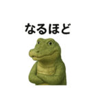 ワニの日々（個別スタンプ：11）