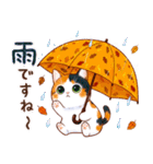 三毛猫のつめあわせ【秋】（個別スタンプ：37）