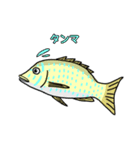 沖縄のいきものたち！（個別スタンプ：5）