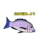 沖縄のいきものたち！（個別スタンプ：6）