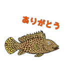 沖縄のいきものたち！（個別スタンプ：21）