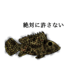 沖縄のいきものたち！（個別スタンプ：23）