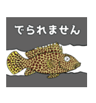 沖縄のいきものたち！（個別スタンプ：26）